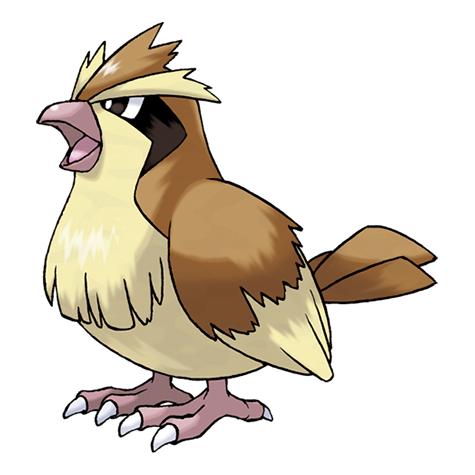 <p>What type is Pidgey?</p>