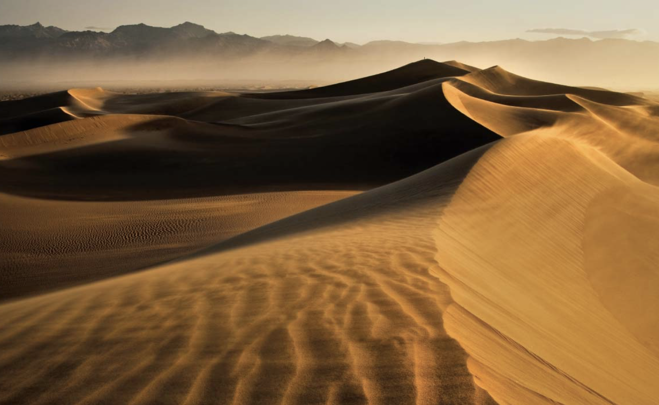 <p>looks like a ripple, only it’s much larger capable of being tens of centimeters to several meters high, and wind-formed dunes in deserts may be tens of meters to over 100 meters high</p><ul><li><p>pile of sand generally formed by deposition from the wind</p></li></ul><p></p>