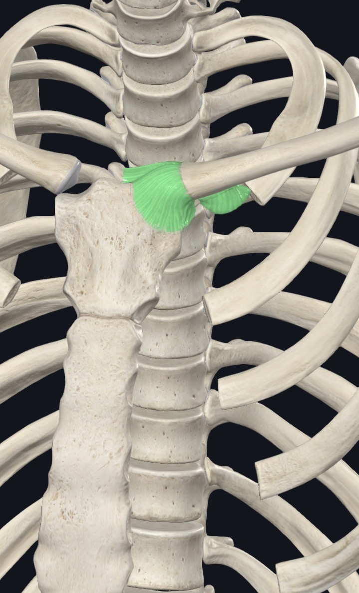 <p>what is this?</p>