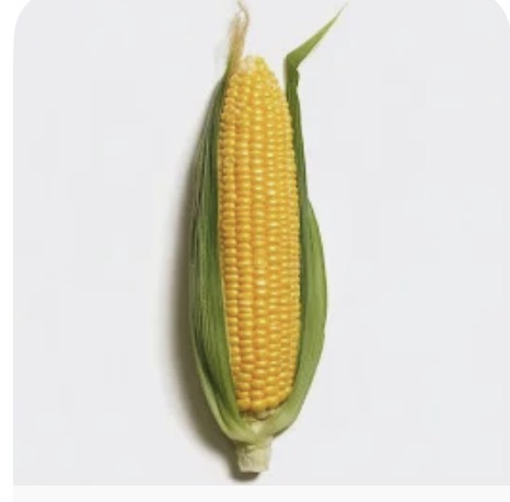 <p>Corn</p>
