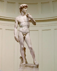 <p>Image</p>