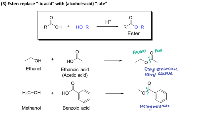 <p><strong><u>Naming Carboxylic Acid Derivatives </u></strong></p><p>(3)  _______: replace <strong>“-ic acid” with (alcohol + acid) “ate” </strong></p><p></p>