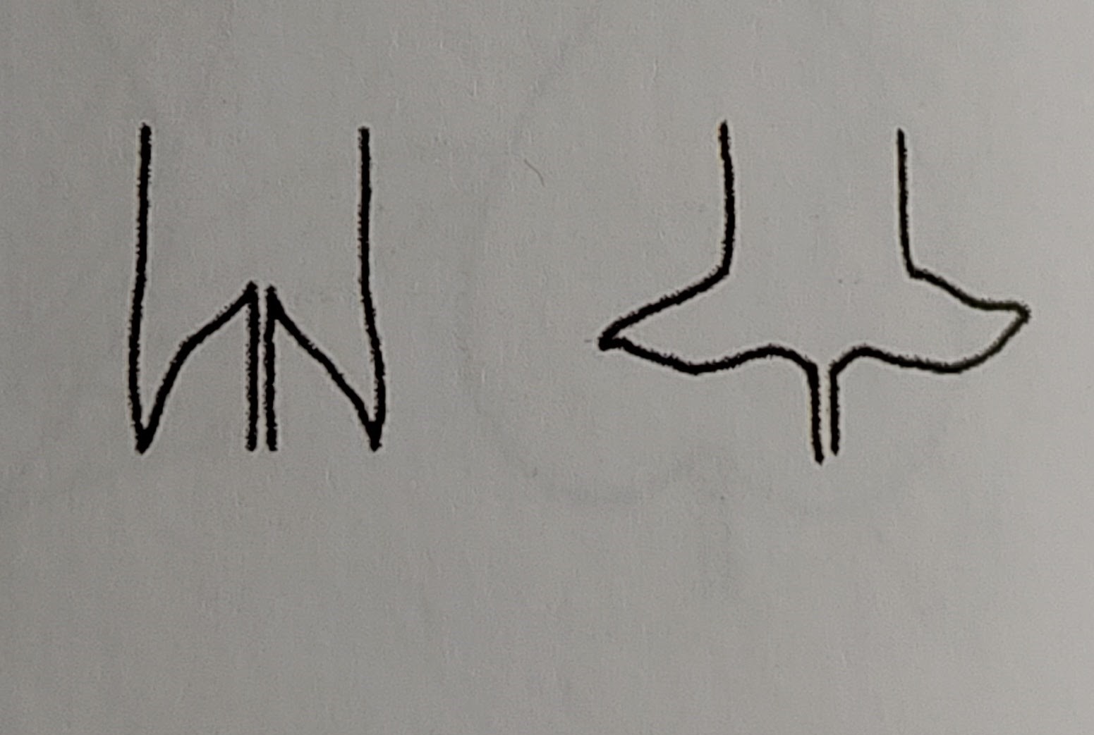 <p></p>