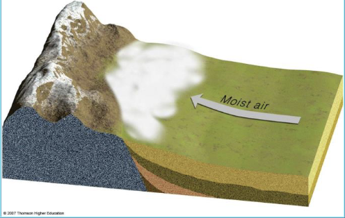 <ul><li><p>Humid air moves upslope and cools adiabatically </p></li><li><p>Forms when dew point reached</p></li></ul><p></p>