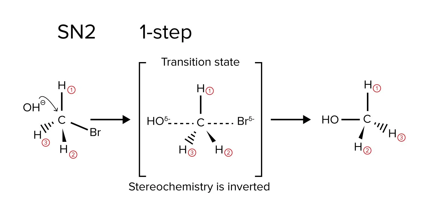 <p><strong><u>One Step Reaction</u></strong></p><ul><li><p>Substitution</p></li><li><p>Nucleophilic</p></li><li><p><strong>Bimolecular</strong></p></li><li><p><strong>One step.</strong></p></li><li><p>Backside attack.</p></li><li><p>Everything happens at once.</p></li><li><p>Nucleophile attacks.</p></li><li><p>Leaving group leaves.</p></li></ul><p>One transition state, No carbocation.</p>