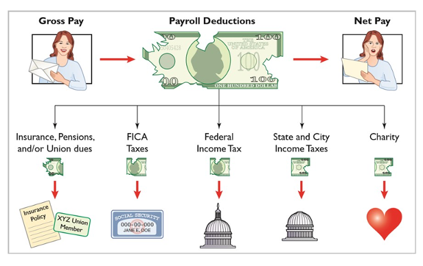 <p>gross pay - payroll deductions</p>