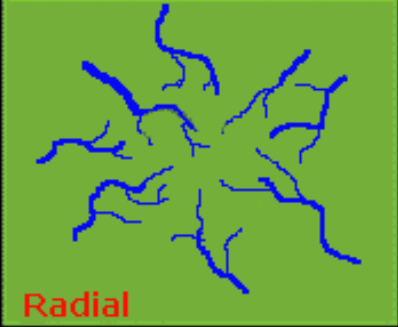 <p>radical</p>