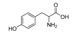 <p>10</p>