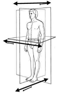 <p>indicate the plane that splits body into front and back halves</p>