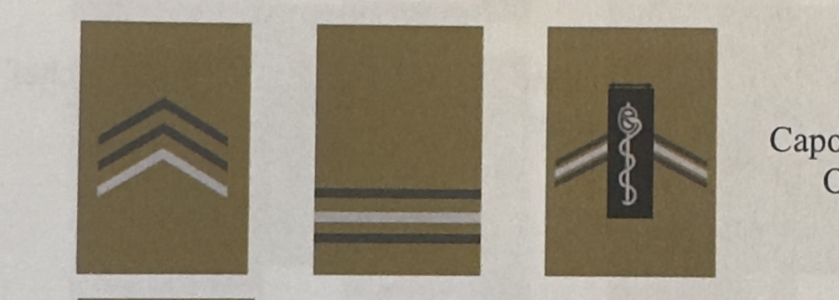 <p>Volontaire 3/4</p>