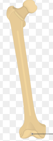 <p>What is the arrow pointing at?</p>