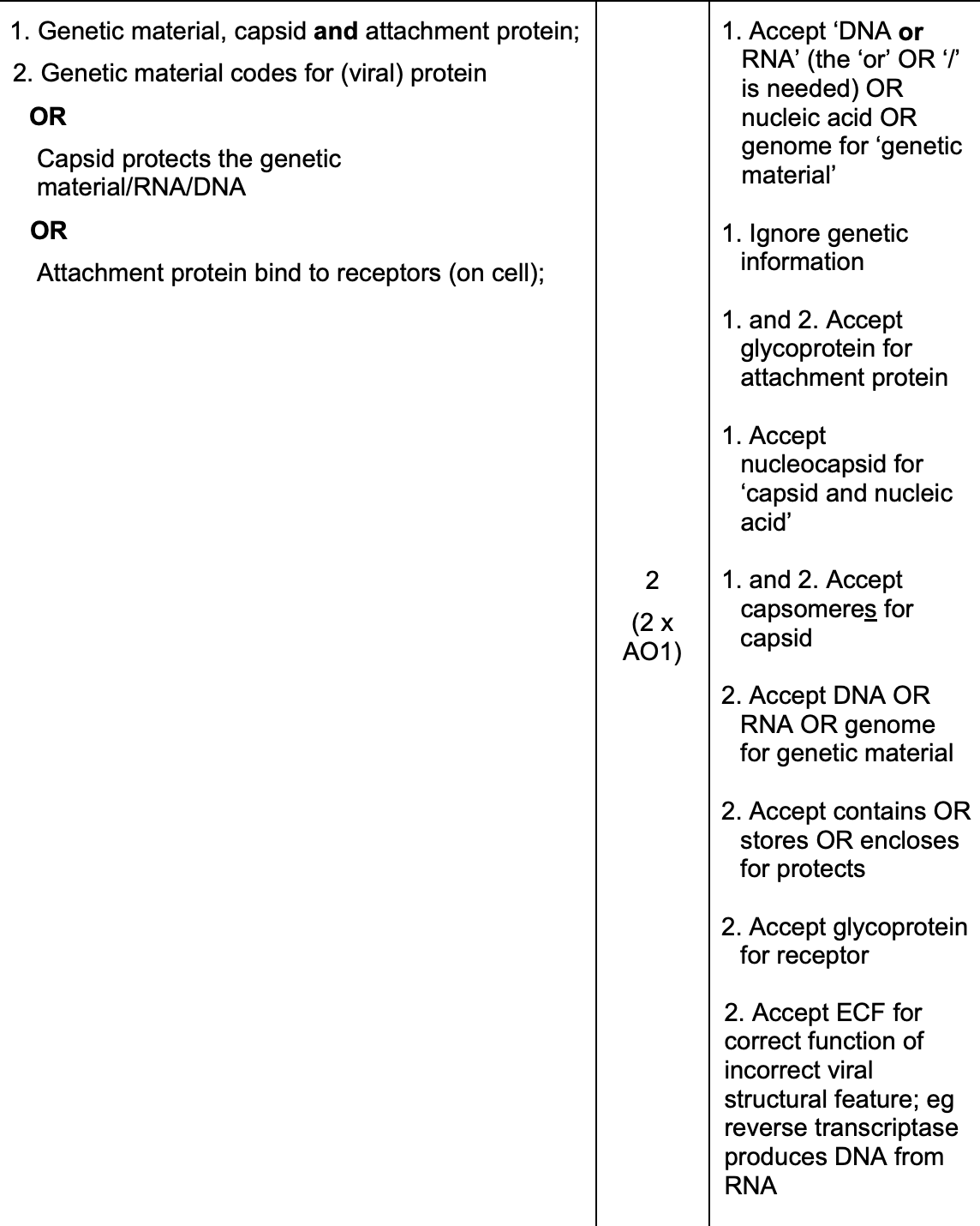 <ul><li><p>capsid - protects genetic material</p></li><li><p>genetic material - codes for viral protein</p></li><li><p>attachment protein - to bind to receptors on cell</p></li></ul><p></p>