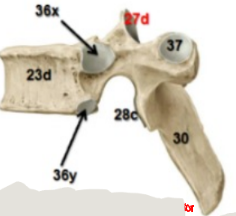 <p>30</p>