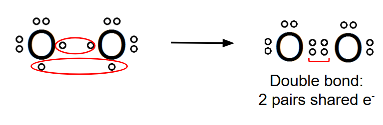 <p>nonpolar covalent</p>