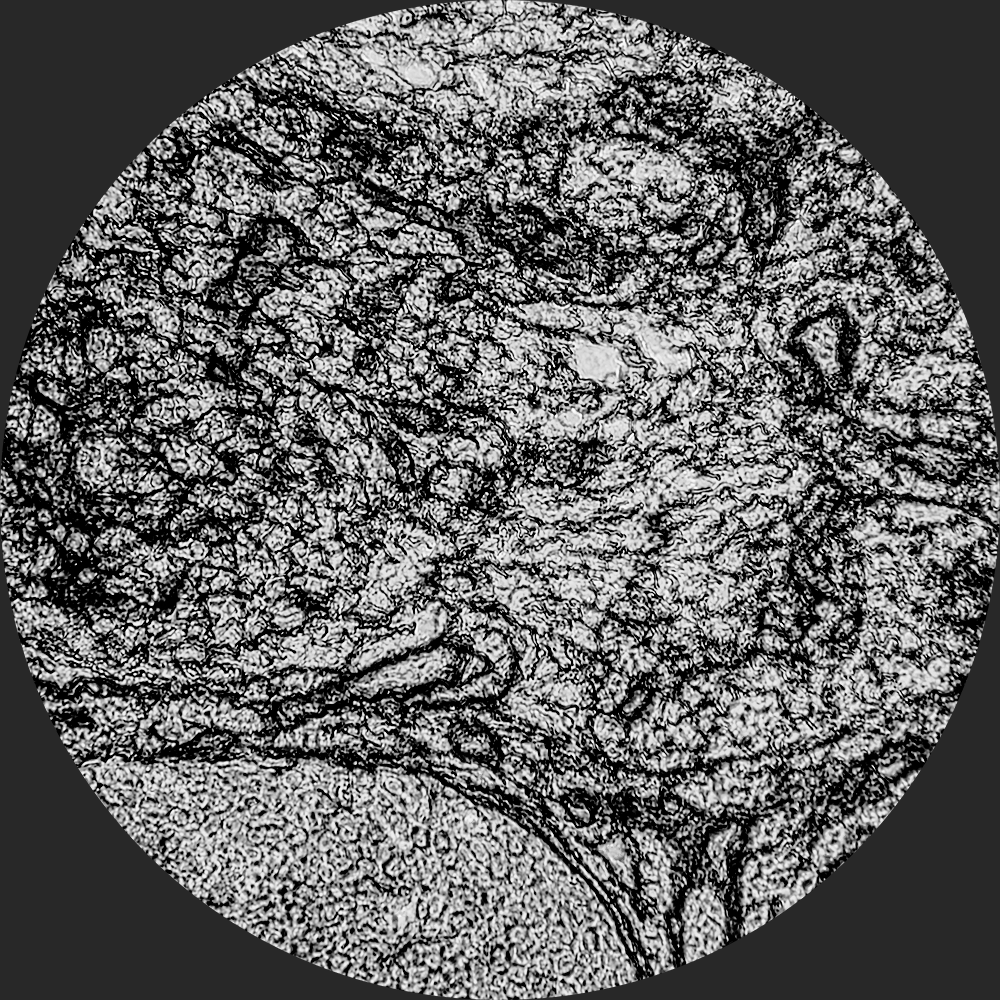 term image