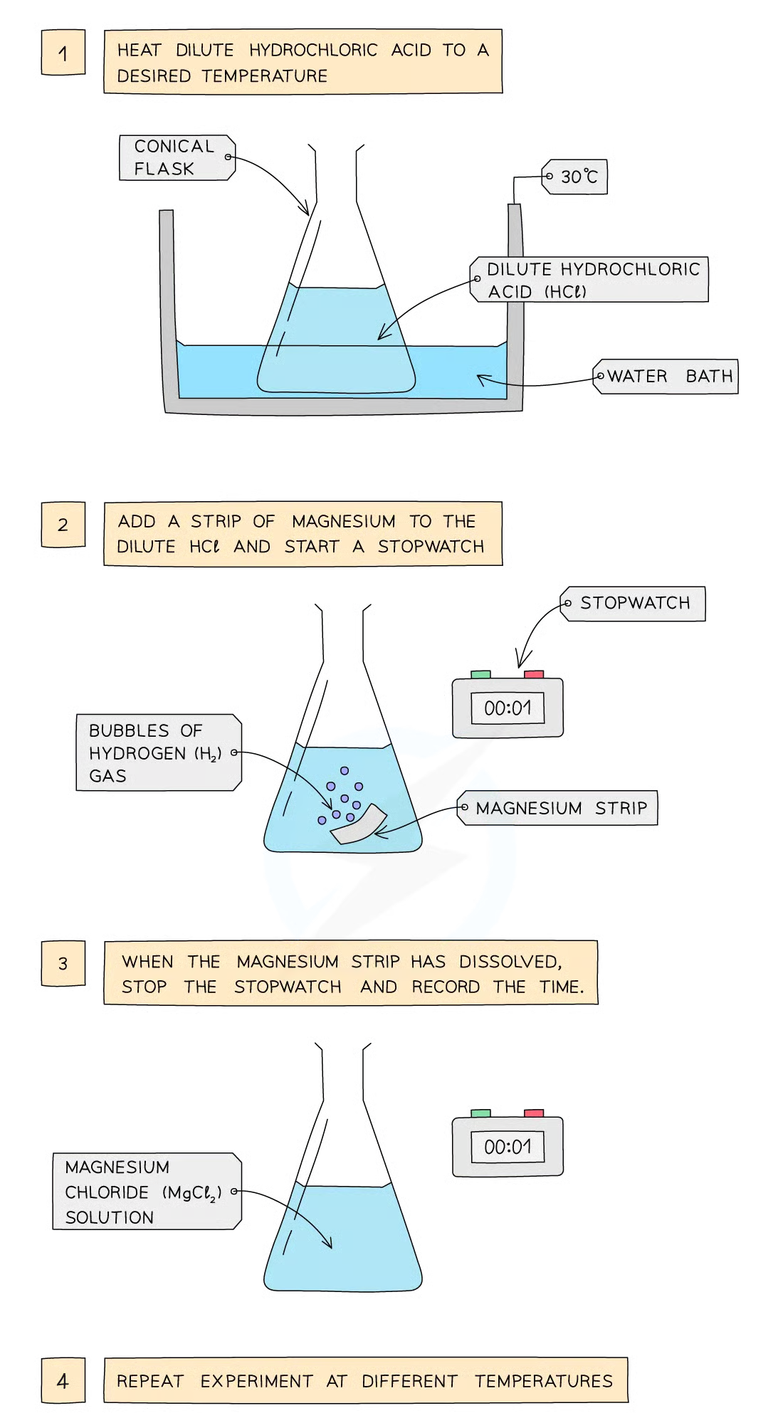 <p>Method:</p><ul><li><p>Dilute hydrochloric acid is heated to a set temperature using a water bath</p></li><li><p>Add the dilute hydrochloric acid into a conical flask</p></li><li><p>Add a strip of magnesium and start the stopwatch</p></li><li><p>Stop the time when the magnesium fully dissolves</p></li><li><p>Repeat at different temperatures and compare results</p></li></ul><p></p>