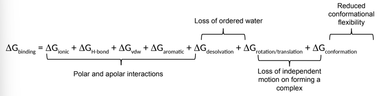 <p>what is ΔG<sub>conformation</sub>?</p>