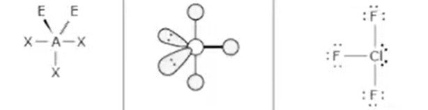<p>Name: T-shaped</p>