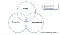 <p>- occupational imbalance</p><p>- occupational deprivation</p><p>- occupational alienation</p><p>- occupational delay</p><p>- occupational interruption</p><p>- occupational disparities</p>