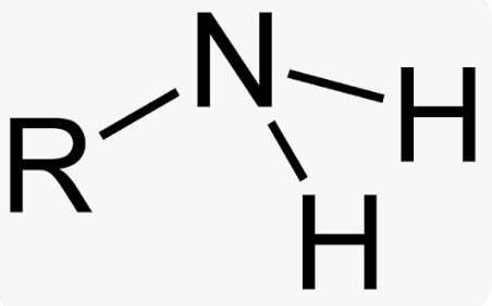 <p>Composed of a nitrogen atom bonded to two hydrogen atoms (—NH2) </p>