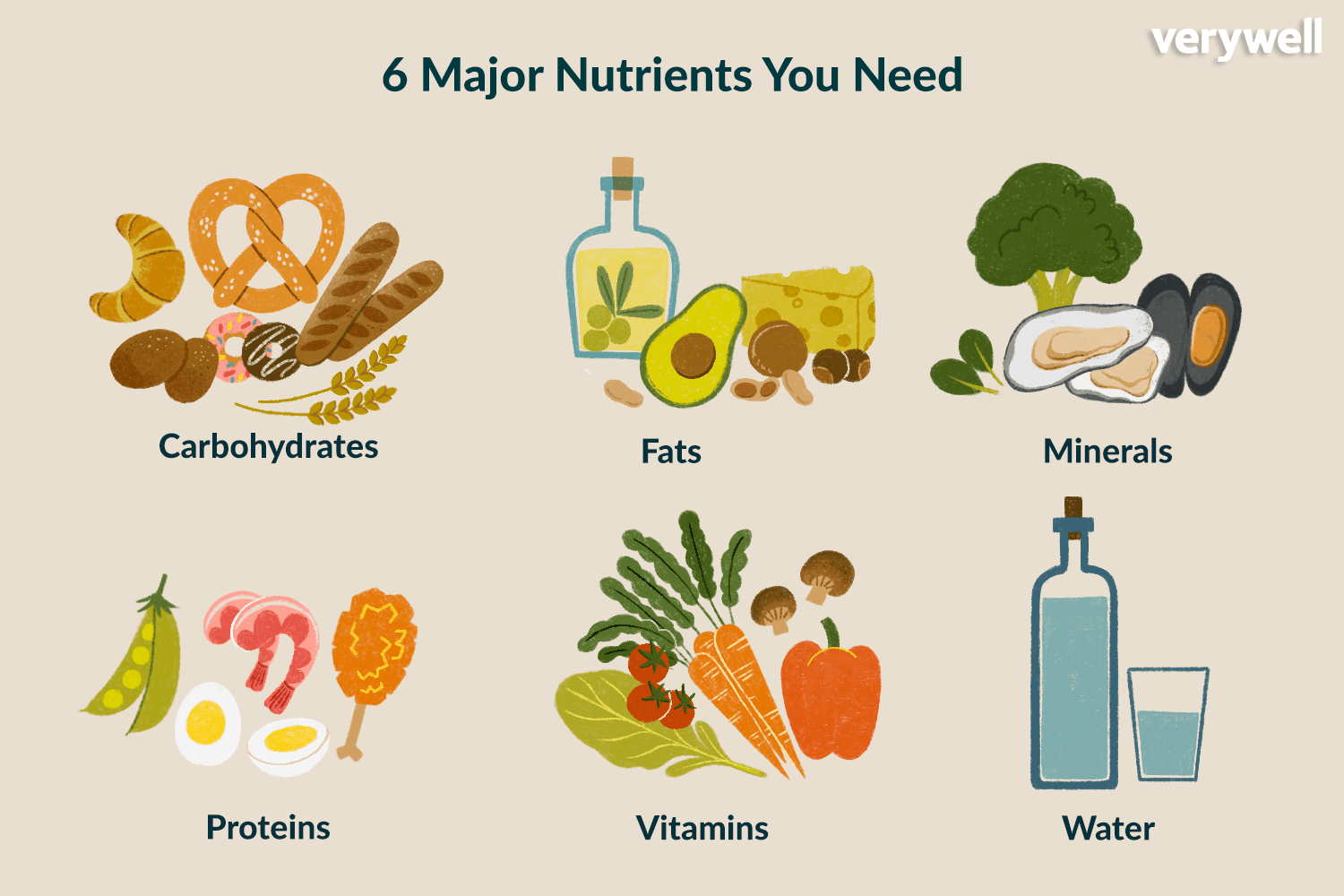*nutrients (n.)