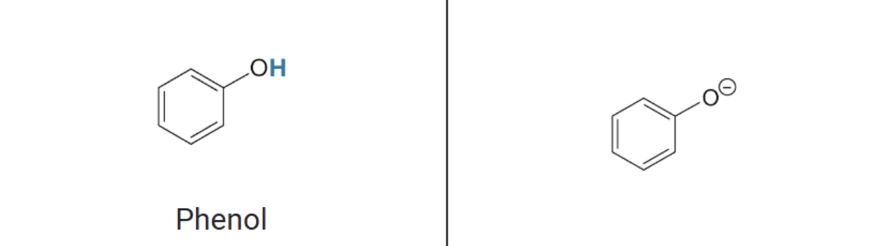 <p>Phenol</p>