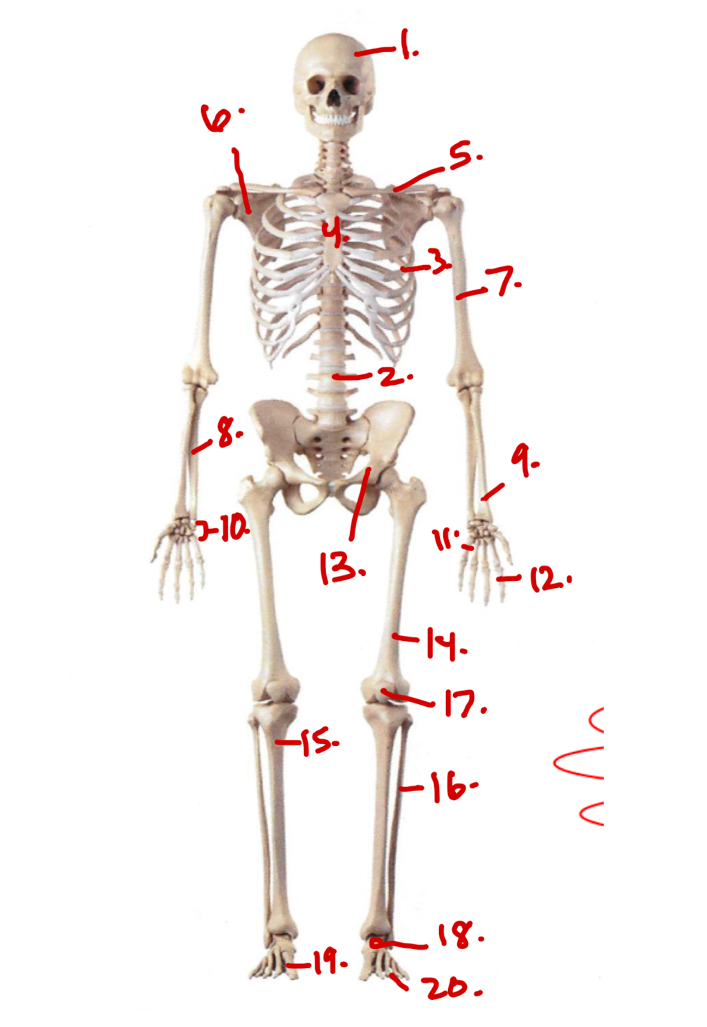 <p>ID 2. </p>