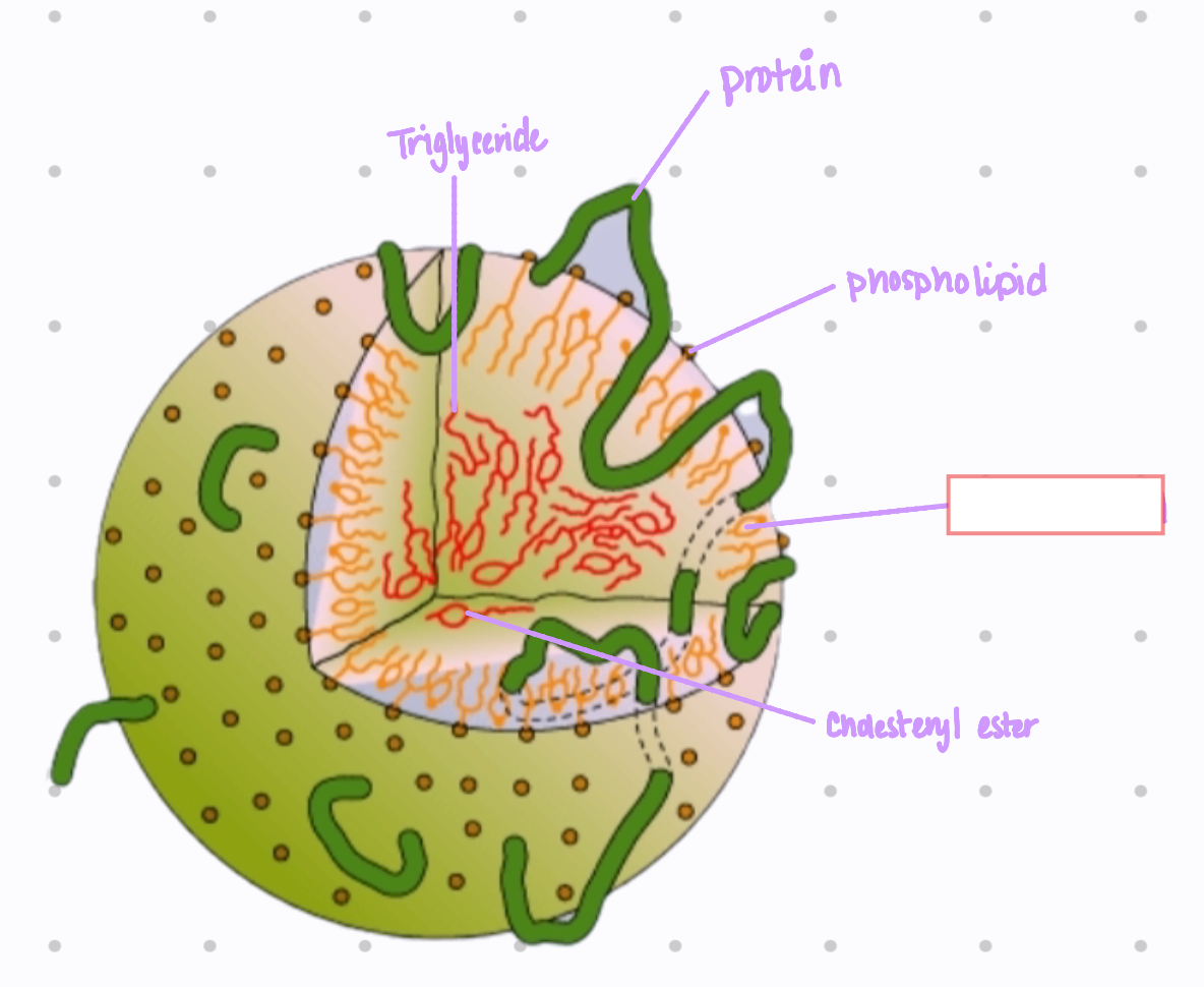 <p>What is the missing structure in the picture?</p>