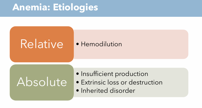 <p><strong>Relative Anemia</strong></p><ul><li><p><mark data-color="purple" style="background-color: purple; color: inherit;">Hemodilution </mark></p><ul><li><p>concentration of RBCs low because plasma has increased, RBC count is normal, the plasma is just too much that it dilutes</p></li></ul></li></ul><p><strong>Absolute Anemia</strong></p><ul><li><p><mark data-color="purple" style="background-color: purple; color: inherit;">Insufficient production </mark></p><ul><li><p>bone marrow cannot produce enough RBCs to meet needs</p></li></ul></li><li><p><mark data-color="purple" style="background-color: purple; color: inherit;">Extrinsic loss of destruction</mark></p><ul><li><p>Trauma or surgery; bleeding out; RBCs destroyed faster than produced</p></li></ul></li><li><p><mark data-color="purple" style="background-color: purple; color: inherit;">Inherited disorder</mark></p><ul><li><p>Genetic mutation; abnormal hemoglobin or misshapen cells</p></li></ul></li></ul><p></p>