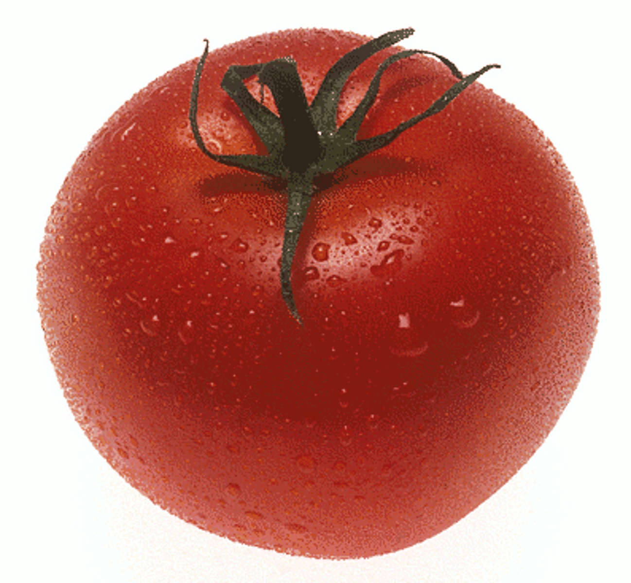 <p>une tomate</p>