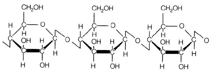<p>a polysaccharide macromolecule, the linear polymer of the beta-D-glucose monomers</p>