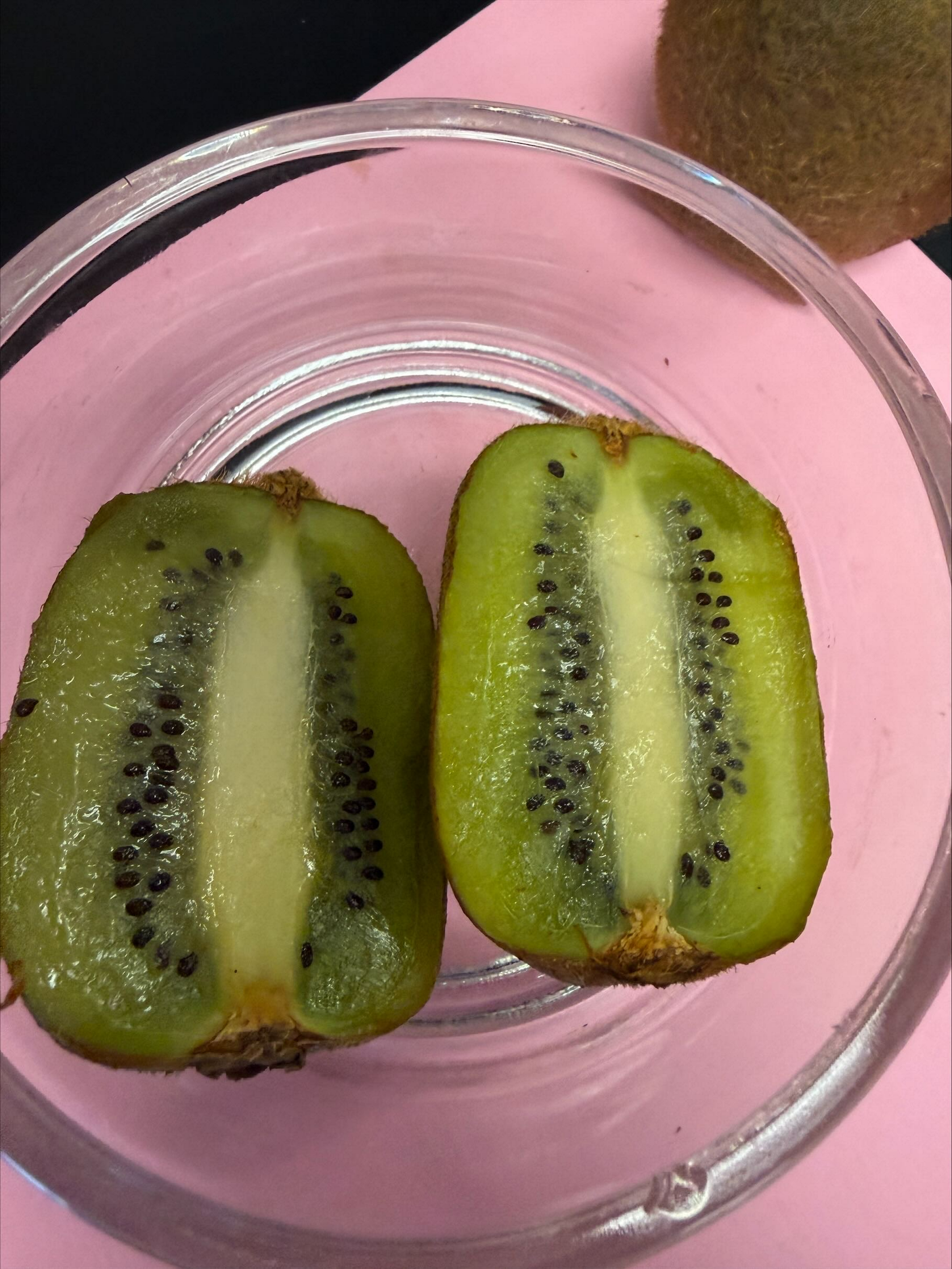 <p>What is this, and what are the fruit characteristics? <br>1. Fleshiness<br>2. Dehiscence<br>3. Complexity<br>4. Accessory fruit<br>5. Specific fruit</p>