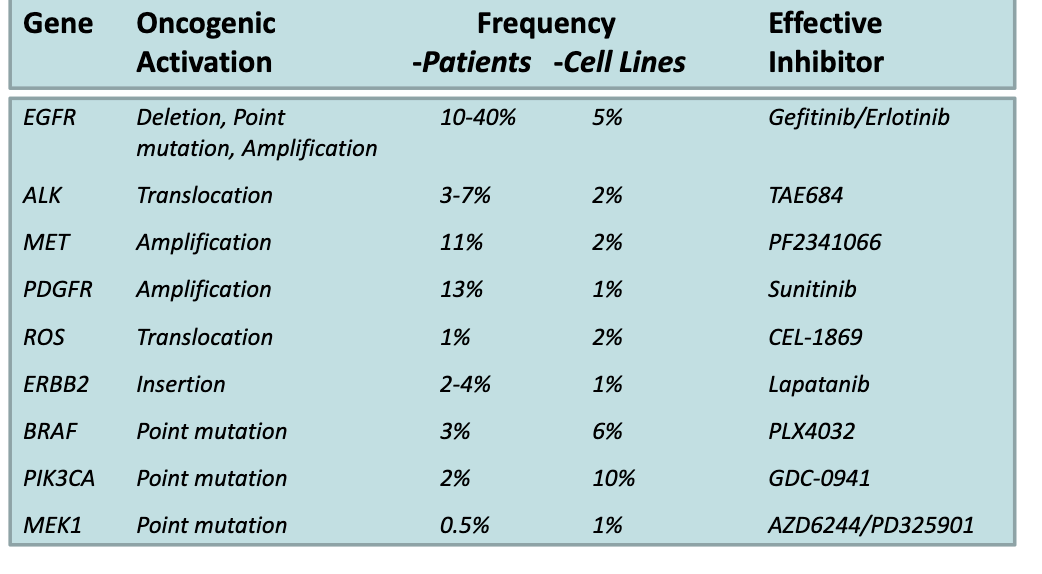 <ul><li><p>Cell lines have been <strong>DNA sequenced</strong>, so all mutations are known</p></li><li><p>Large bank of ~<strong>139 cell lines</strong> representing different patient-like phenotypes</p></li><li><p>Used to study drug effects by:</p><ul><li><p>Applying a drug to a specific cell line</p></li><li><p>Observing the resulting cellular response</p></li></ul></li></ul><p></p>