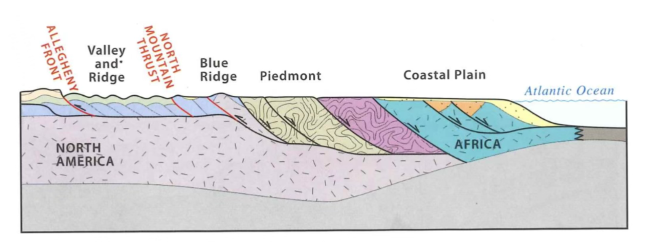 <p>What is missing from this figure?</p>