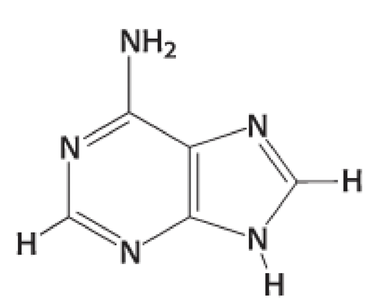 <p>Type and structure </p>