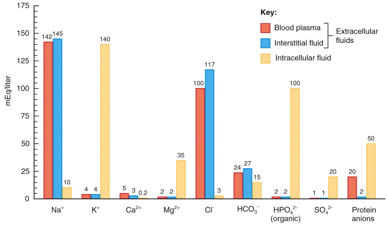 <p>Electrolytes in body fluids</p>