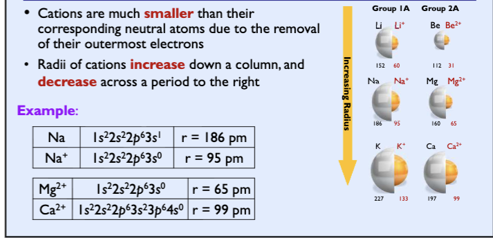 <p>cations are much smaller than their corresponding neutral atoms due to removal of outermost electrons</p><p>adii of cations increase down a column, and decrease across a period to the right</p>