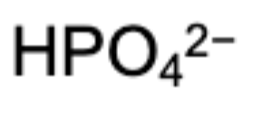 <p>two haitian po a$$ n*ggas</p>
