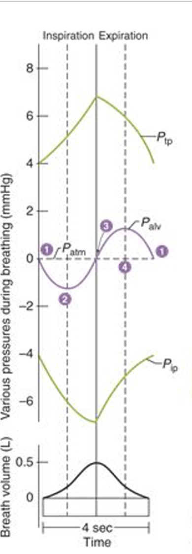 <p>explain this diagram </p>