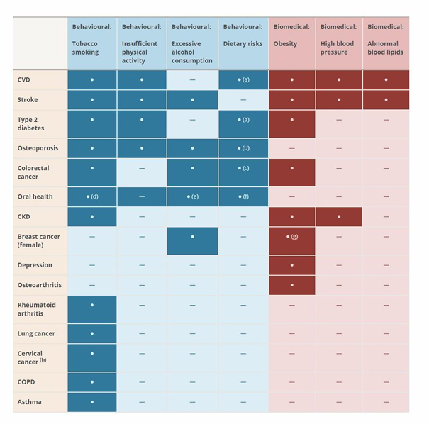 <p><strong>Behavioural:</strong></p><p>- Tobacco smoking</p><p>- Insufficient physical activity</p><p>- Excessive alcohol consumption</p><p>- Dietary risks</p><p>.</p><p><strong>Biomedical:</strong></p><p>- Obesity</p><p>- High blood pressure</p><p>- Abnormal blood lipids</p>