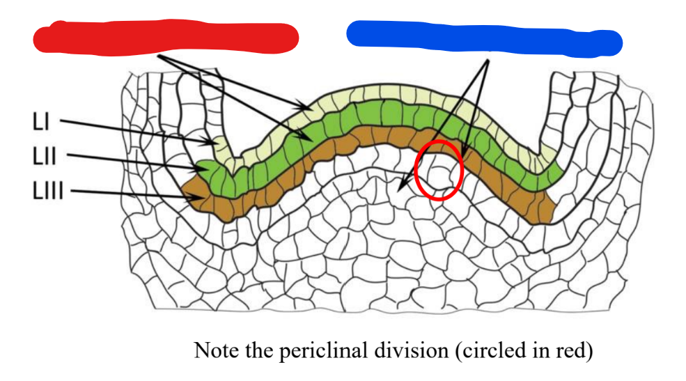 <p>What is this, what type of organization is it, what is the function</p>