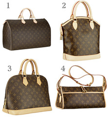 <p>purse; bag</p>