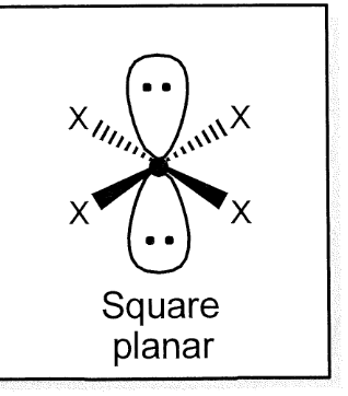 <p>square planar </p>