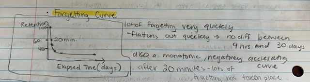 <p>decline rapidly over the first two days, after that the forgetting leveled out </p><p>memory has already been solidified</p>