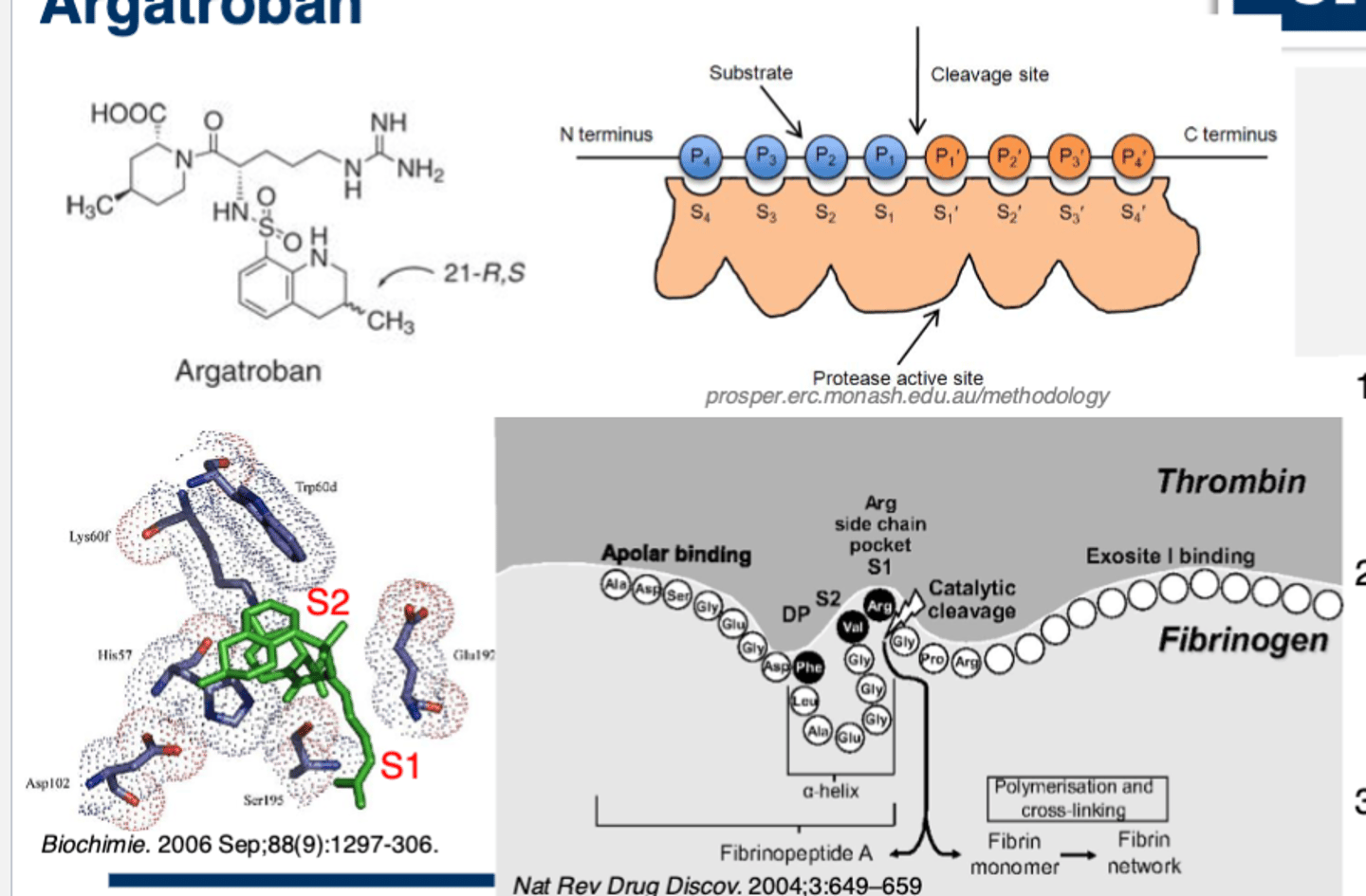 <p>• Peptidomimetic that binds reversibly univalent to both free an clot-bound thrombin</p><p>• Agrobatran has a guanidine moiety (to mimic fibrinogen's Arg) that will bind to S1 and a hydrophobic moiety (to mimic Val) that will bind to S2 of thrombin at its active site (univalent) </p>