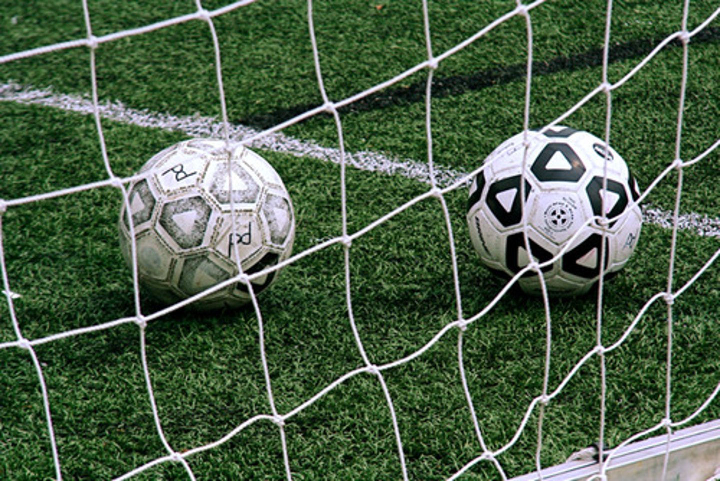 <p>the soccer ball</p>