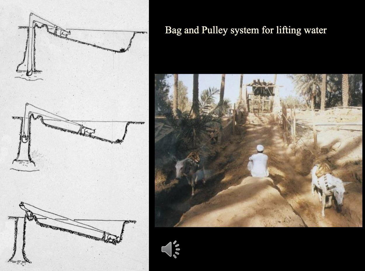 <ul><li><p>bags of water pulled up by draft animals with the help of a pulley</p></li></ul><p></p>