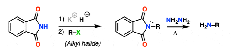 <p>identify the mechanism</p>