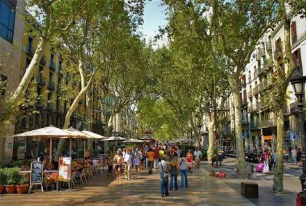 <p>es una avenida famosa con muchas tiendas, restaurantes, arboles, y vistas del mar en Barcelona </p>