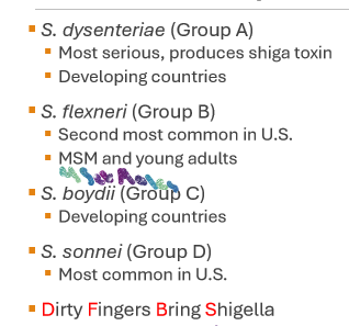 <p>S. dysenteriae (Group A)</p><p>S. flexneri (Group B)</p><p>S. boydii (Group C)</p><p>S. sonnet (Group D)</p>